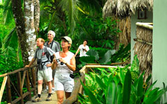 guests exploring