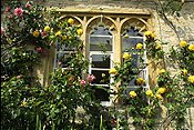 Arch window, Glastonbury bed & breakfast