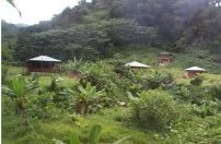 Dominica ecolodge holiday, ecolodge grounds