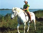 Umbria B&B farmstay accommodation