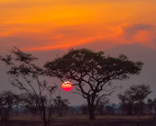 Serengeti National Park