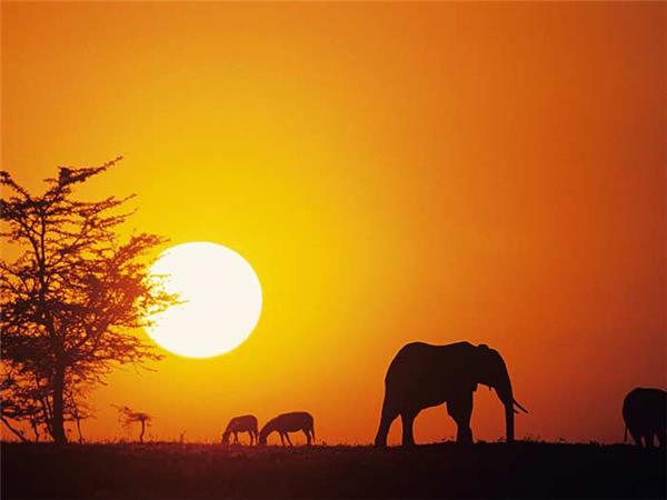 over 50 singles adventure travel