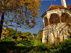 Discover Transylvania holiday