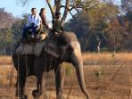 North India tailor made holiday