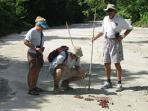 Tanzania bush camp & walking safari