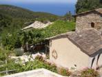 Ikaria Island holiday, organic farmstay villas in Greece