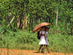 Fair trade tour to Sri Lanka