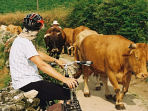Camino de Santiago cycling holiday