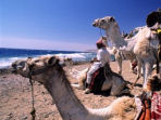 Sinai adventure holiday in Egypt