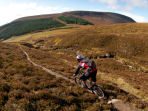 Cairngorms adventure tour
