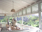 Trinidad and Tobago bird watching holidays