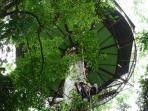 Costa Rica rainforest tree houses