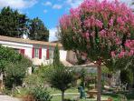 Provence boutique hotel in Arles, France