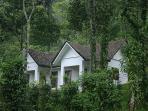 Periyar wild life sanctuary accommodation, Kerala, India
