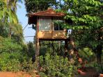 Ratnagiri eco lodge accommodation, India
