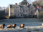 Shorwell bed and breakfast, Isle of Wight