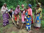 Community Project in Kenya