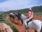 Learn Spanish and go horseback riding in granada, Spain