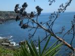 Sintra Natural Park retreats & walks in Portugal