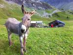 Family activity holiday in the French Alps