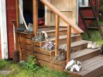 Finland hiking holiday