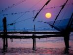 Photography holiday in Kerala, India 