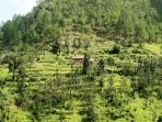 Kumaon Himalayas luxury accommodation, India