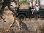 Budget safari in Kruger, South Africa