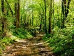 Self guided walking holiday in France