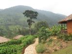 Uganda luxury lodge, nr Bwindi forest 