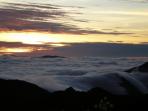 Volunteering in Malaysia, rainforest experience