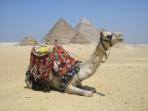 Egypt desert & culture tour