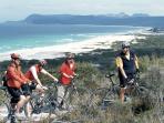 Tasmania activity tour