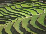 Northern Vietnam holiday, unveiled