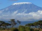 Climb Kilimanjaro, Machame route, tailormade