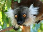 Madagascar family adventure holiday