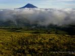 Faial Nature Park in Portugal