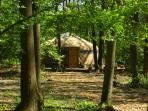 Ashdown Forest yurt accommodation, England