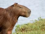 Bolivia & Amazon jungle holiday