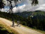 Dolomites self-guided mountain bike holiday, Italy