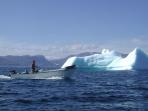 Newfoundland holidays, Viking trail