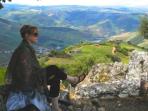 Conservation and history in Portugal
