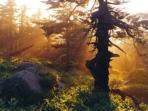 Conservation holiday in Germany