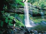 Tasmania luxury tour, 4 days
