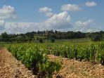 Provence self guided cycling holiday, Gastronomic