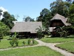 Community volunteering in Peru, Amazonian Manu