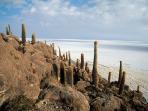 Highlights of Bolivia holiday