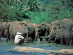 Sri Lankan holiday highlights