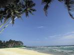 Sri Lanka small group holiday
