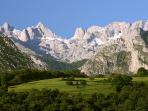 Picos de Europa wildlife photography holiday, Spain